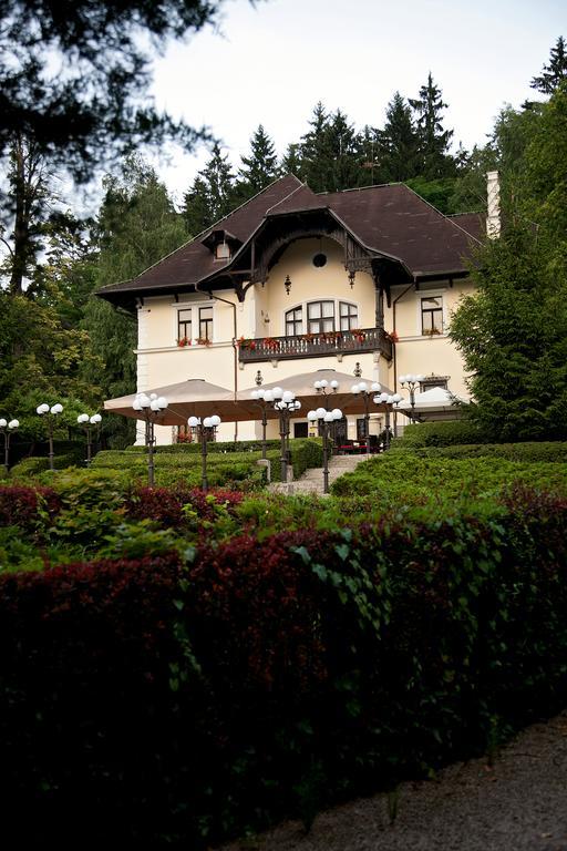Vila Herberstein Velenje Bagian luar foto