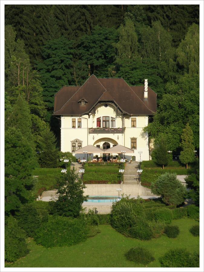 Vila Herberstein Velenje Bagian luar foto